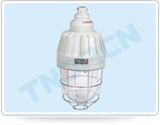 ccd-250系列隔爆型防爆灯(IIC)