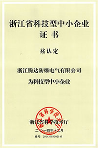 浙江省科技型中小时企业证书