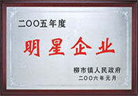 明星企业